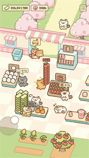 Cat Mart