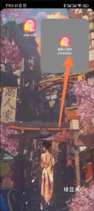 鲸鱼小组件_https://www.lvdoujia.com_手机美化_第1张